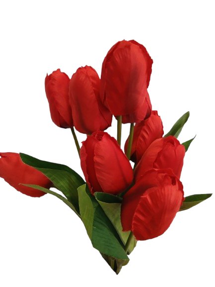 Bukiet wiosenny czerwone tulipany 9 szt./pęczek