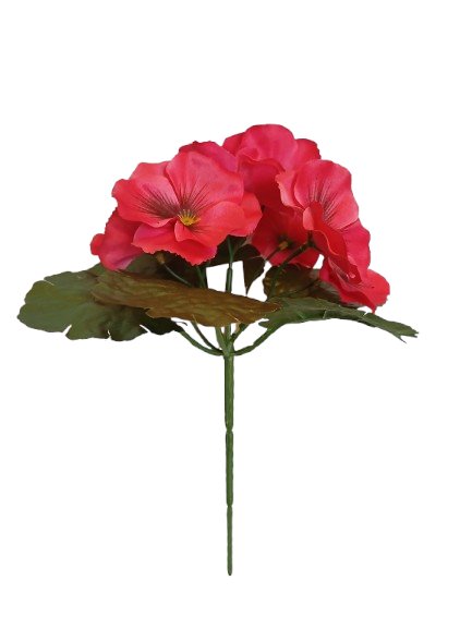 Bukiet wiosenny bratki ciemno różowe  8 sz/ pęczek