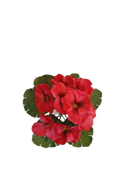 Bukiet wiosenny bratki ciemno różowe  8 sz/ pęczek