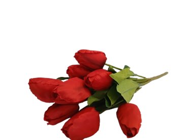 Bukiet wiosenny czerwone tulipany 9 szt./pęczek