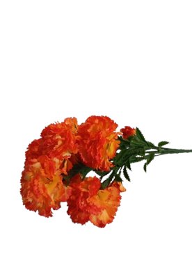 Bukiet kwiatów goździki pomarańczowo-żółte 7 szt/pęczek