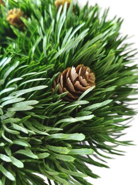 WIANEK OZDOBNY Z SZYSZKAMI 25 cm